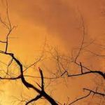 കോന്നി മേഖലയില്‍ കനത്ത സൂര്യ താപം : ഒരാള്‍ മരണപെട്ടു