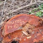 വനം വകുപ്പ് ജീവനക്കാരനെ അകാരണമായി സ്ഥലം മാറ്റിയ നടപടി പിന്‍വലിച്ചു