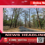 മലയോര മേഖലയില്‍ രാത്രി യാത്രയ്ക്ക് ,കുട്ട വഞ്ചി സവാരി നിരോധനം