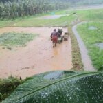 ഇടത്തരം മഴയ്ക്കും ശക്തമായ കാറ്റിനും സാധ്യത ( 30/07/2025 )