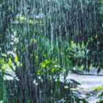 ഇടിമിന്നലോട് കൂടിയ മഴയ്ക്കും ശക്തമായ കാറ്റിനും സാധ്യത