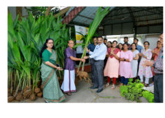 നൂറു രൂപ നിരക്കിൽ തെങ്ങിൻ തൈകളുടെ വിൽപ്പന നടത്തി