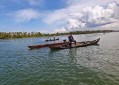 അഷ്ടമുടി കായലിലെ പൂവൻ കക്ക ഉൽപാദനത്തിൽ വർധനവ്