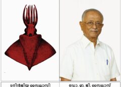 അറബിക്കടലിൽ പുതിയ ഇനം നീരാളി കൂന്തളിനെ കണ്ടെത്തി