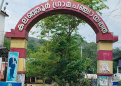 പത്തനംതിട്ട ജില്ലയിലെ പഞ്ചായത്തുകളില്‍ മത്സരിക്കുന്നത് 2723 സ്ഥാനാര്‍ഥികള്‍