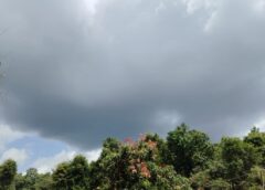 പത്തനംതിട്ട, ഇടുക്കി, പാലക്കാട്, മലപ്പുറം, വയനാട് ജില്ലകളില്‍ ശക്തമായ മഴയ്ക്കുള്ള സാധ്യത (29/11/2025)