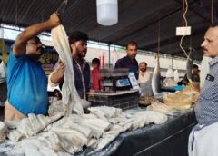 തെള്ളിയൂർക്കാവ് വൃശ്ചികവാണിഭം: ഉണക്കസ്രാവ് വില്‍പ്പനയില്‍ റെക്കോര്‍ഡ്‌ നേട്ടം