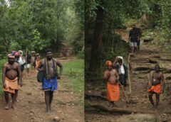 കാനന പാത താണ്ടി സന്നിധാനത്തെത്തുന്നത് ആയിരങ്ങൾ