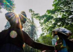 ശബരിമല: ആദ്യ 15 ദിവസത്തെ വരുമാനം 92 കോടി:അരവണ വരുമാനം 47 കോടി